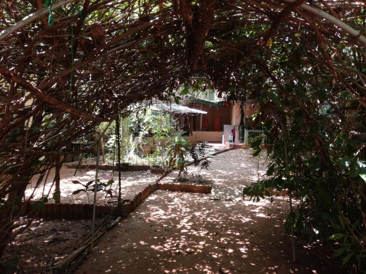 Sigiriya Freedom Lodge Dambulla Kültér fotó