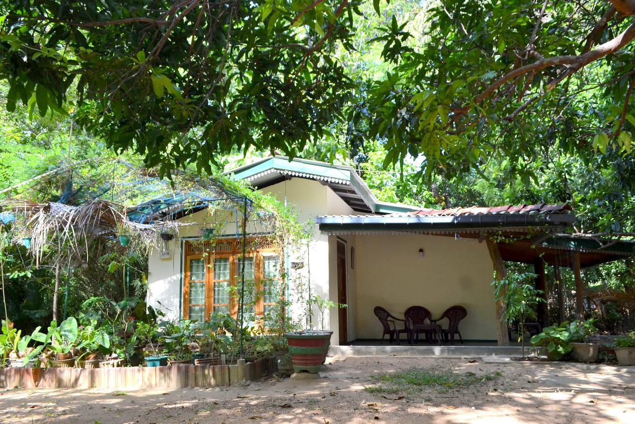 Sigiriya Freedom Lodge Dambulla Kültér fotó