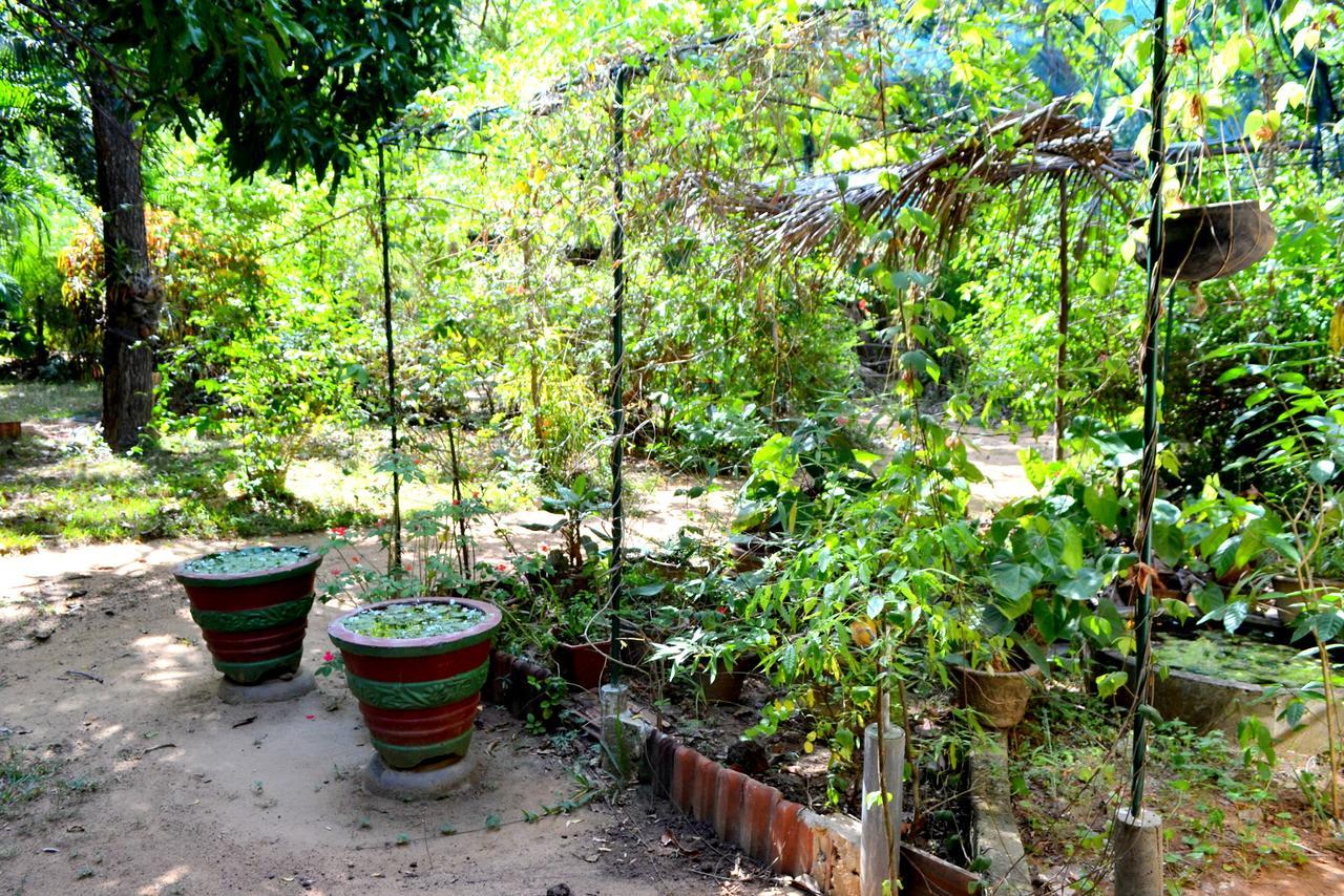 Sigiriya Freedom Lodge Dambulla Kültér fotó