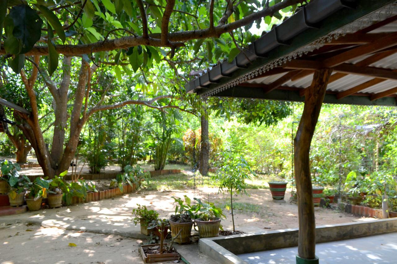 Sigiriya Freedom Lodge Dambulla Kültér fotó