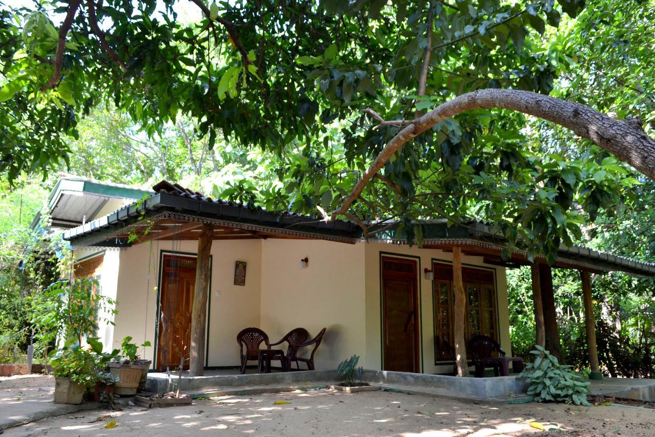 Sigiriya Freedom Lodge Dambulla Kültér fotó